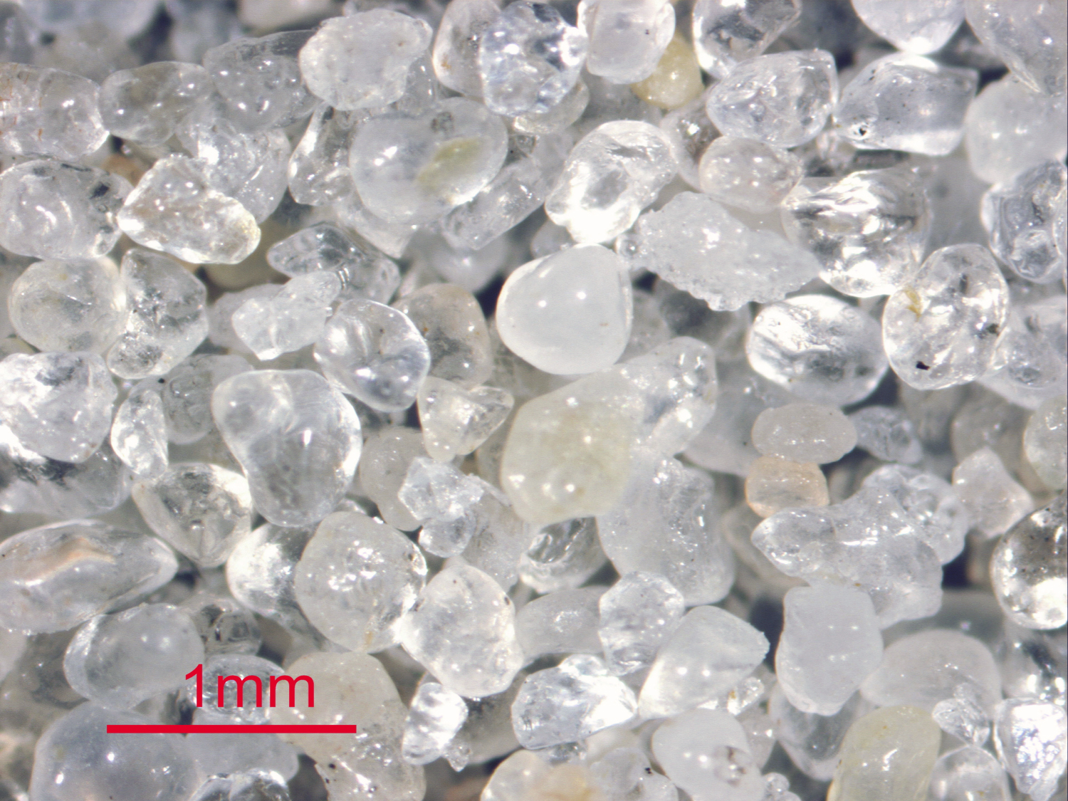 Florida beach sand composition and coastal geology